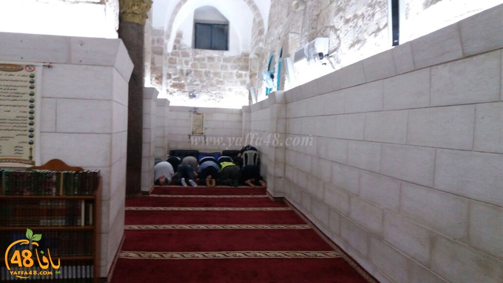 masira lud jame3 (12).jpg